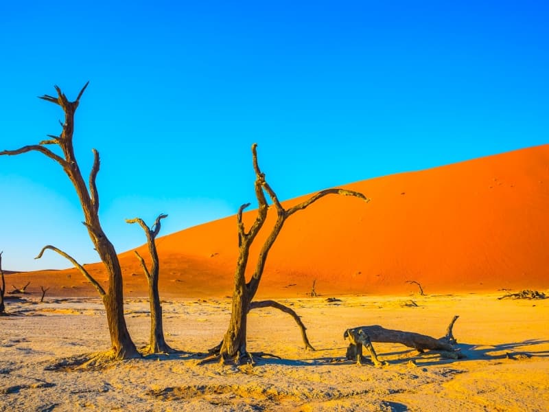 La Namibie, un pays envoûtant d’Afrique australe